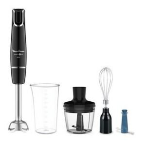 Bras Mixeur 4 en 1 Moulinex DD944810